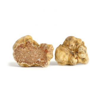 Tartufo bianco fresco
