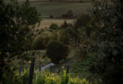 san leonino włoski dostawca