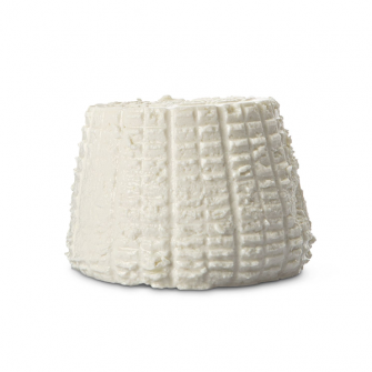 Ser Ricotta Toscana di pura pecora