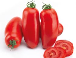 5 niesamowitych rzeczy, których nie wiedziałeś o Pomidorach San Marzano