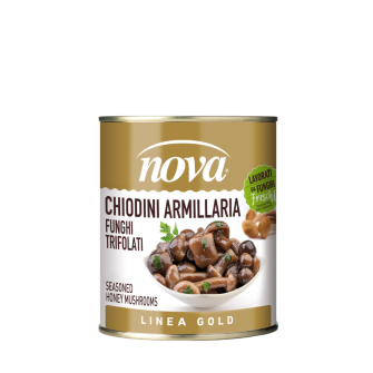 Funghi Chiodini Armillaria Mellea Trifolati