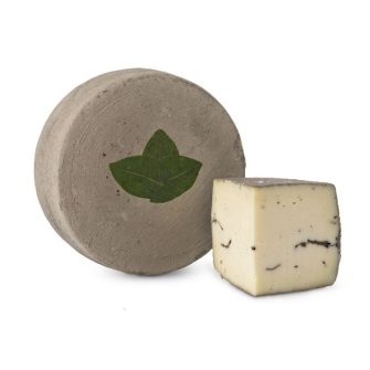 Ser Sottocenere al&nbsp;Tartufo