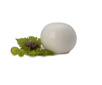 Ser Mozzarella Morbidissima Deliziosa (3,5 kg)