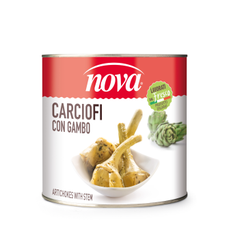 Carciofi con gambo 2500 g