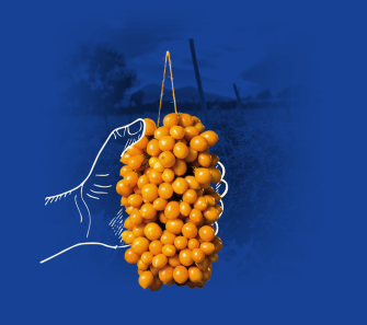 Pomodorino giallo al&nbsp;naturale 1000 g